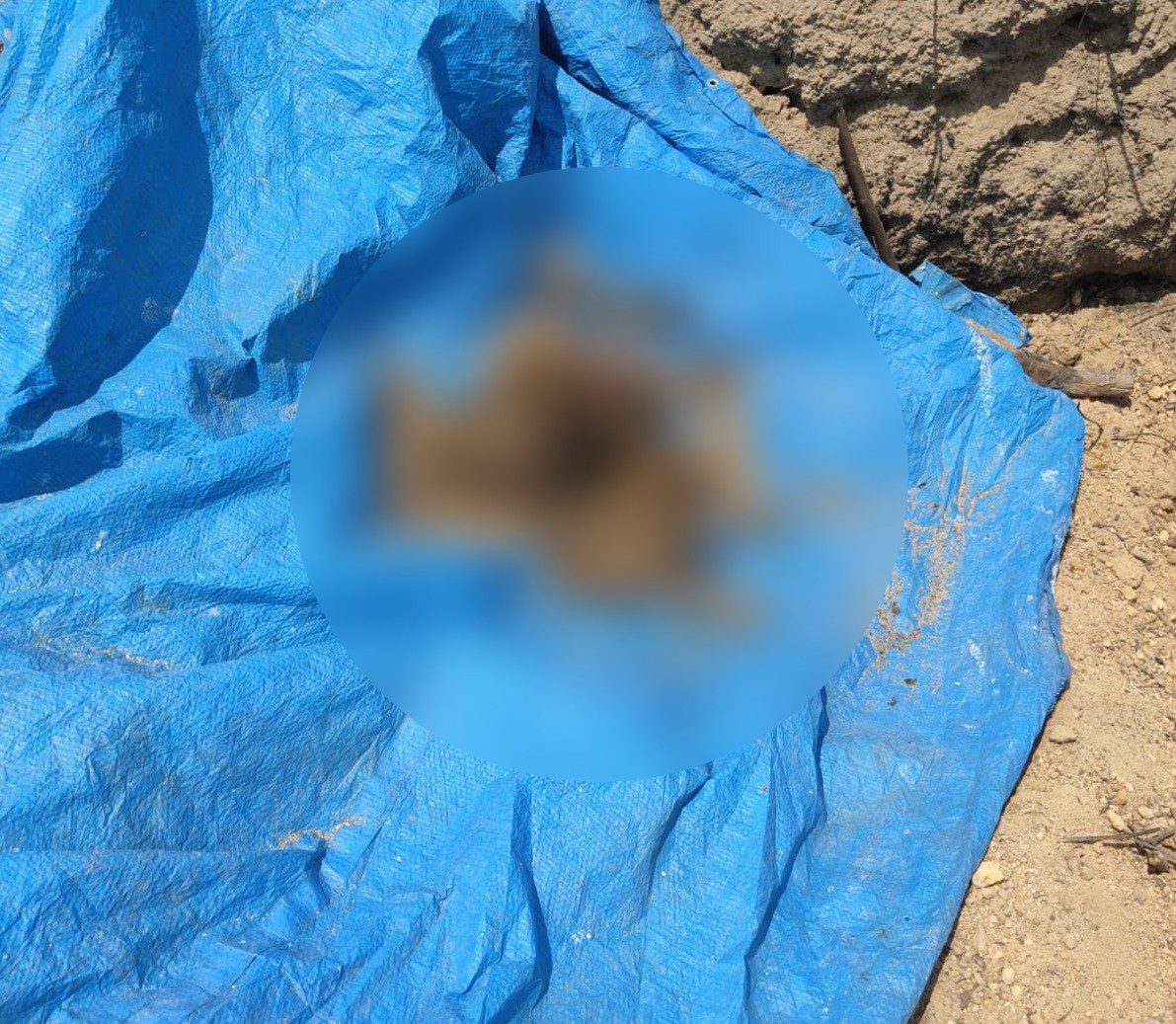 Polícia encontra ossada humana enterrada próxima a garimpo de MT