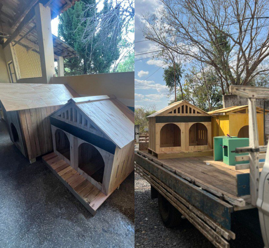 Estudantes criam casas com materiais recicláveis e doam para animais de abrigo em Cuiabá