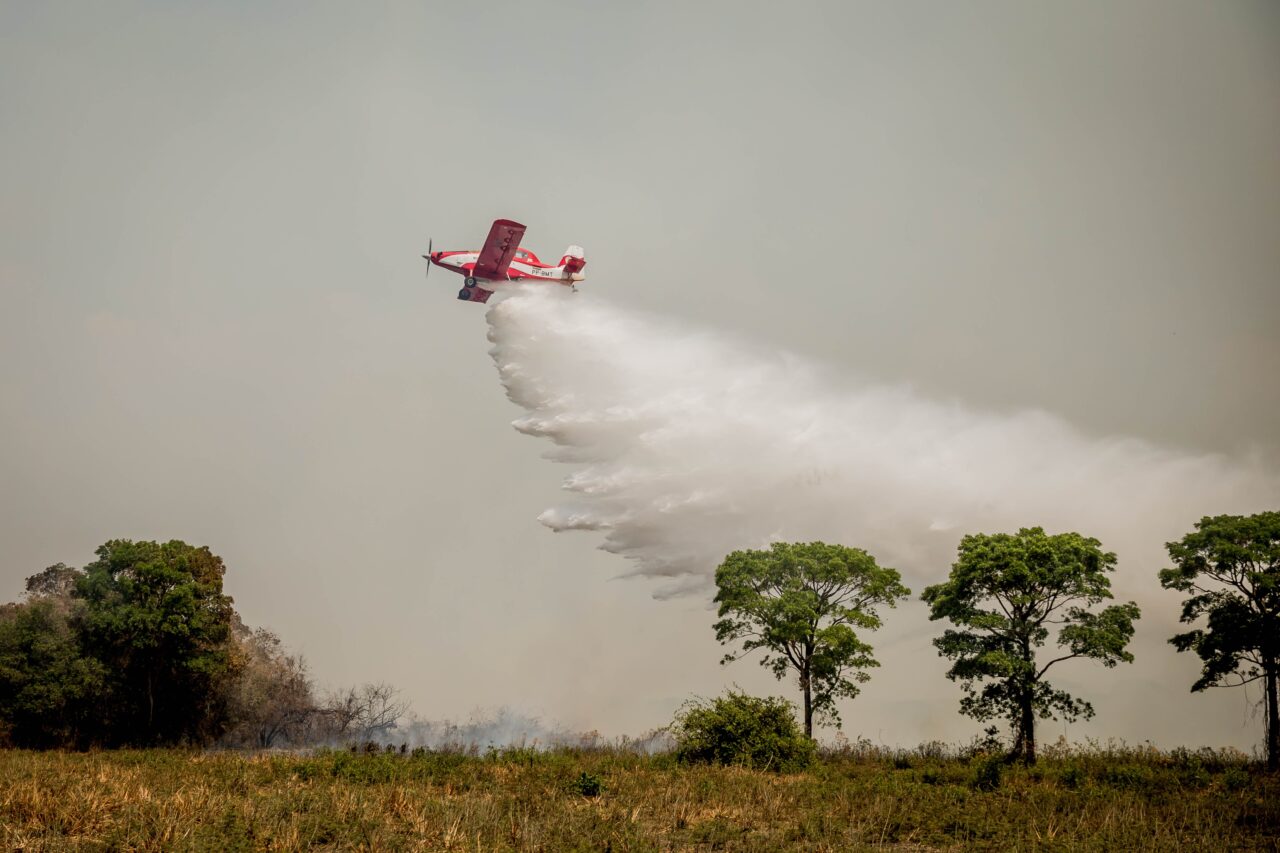 VÍDEO: incêndio atinge parque no Pantanal de MT onde há maior concentração de onças-pintadas no mundo